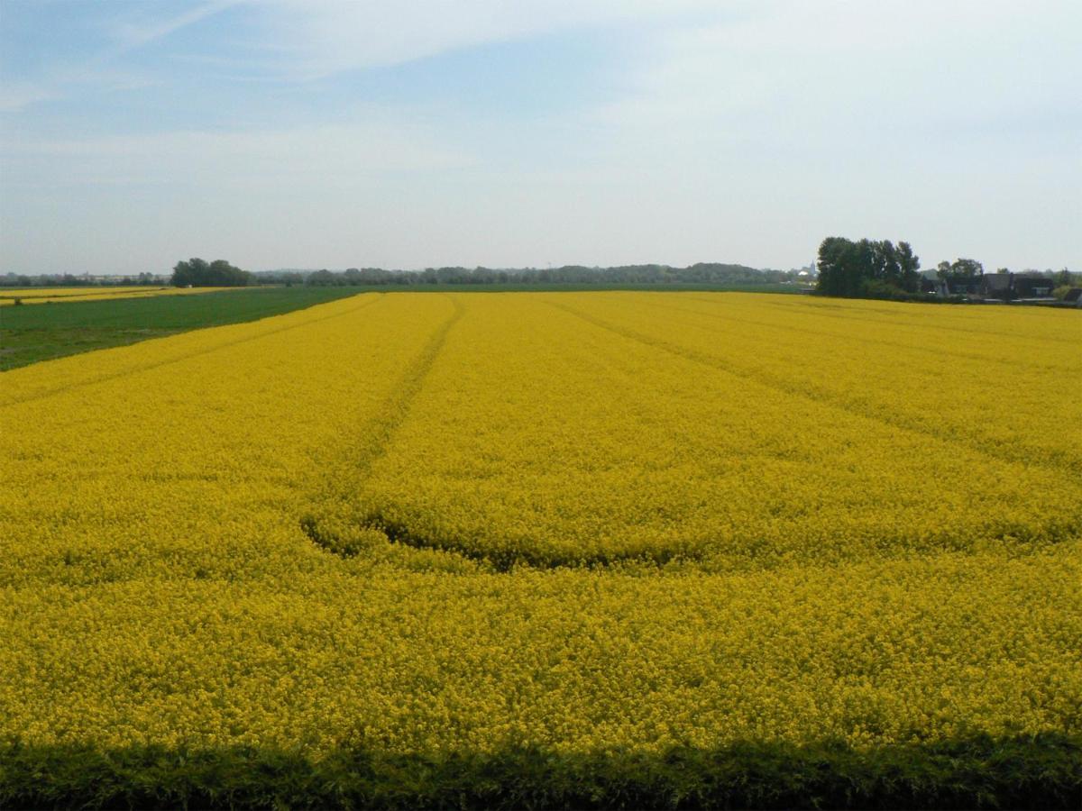 Ein Haus Am Kornfeld Lägenhet Fehmarn Exteriör bild